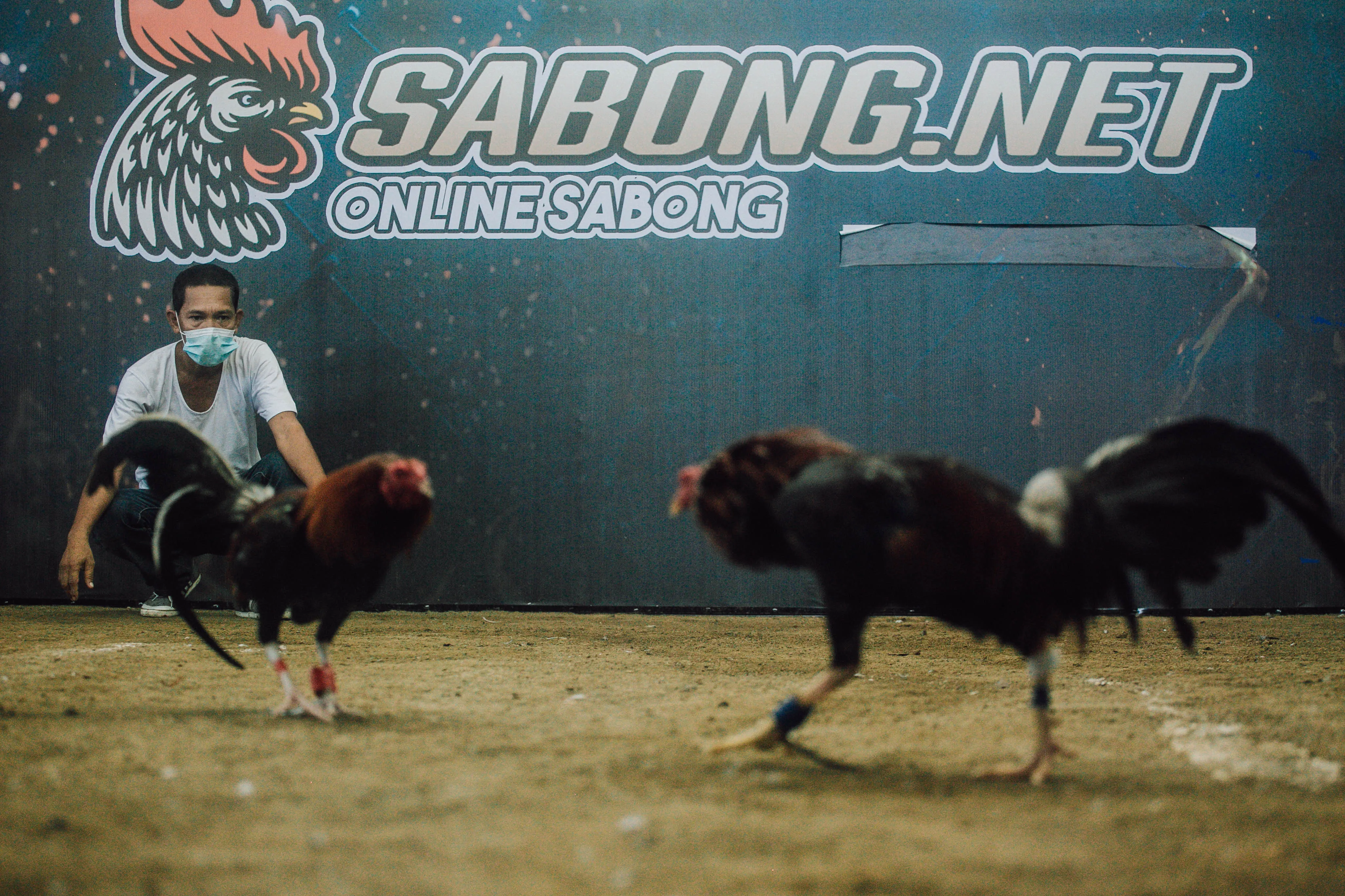 Online Sabong In The Philippines