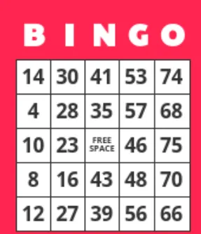 New Bingo Games