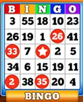 Bingo Online Game