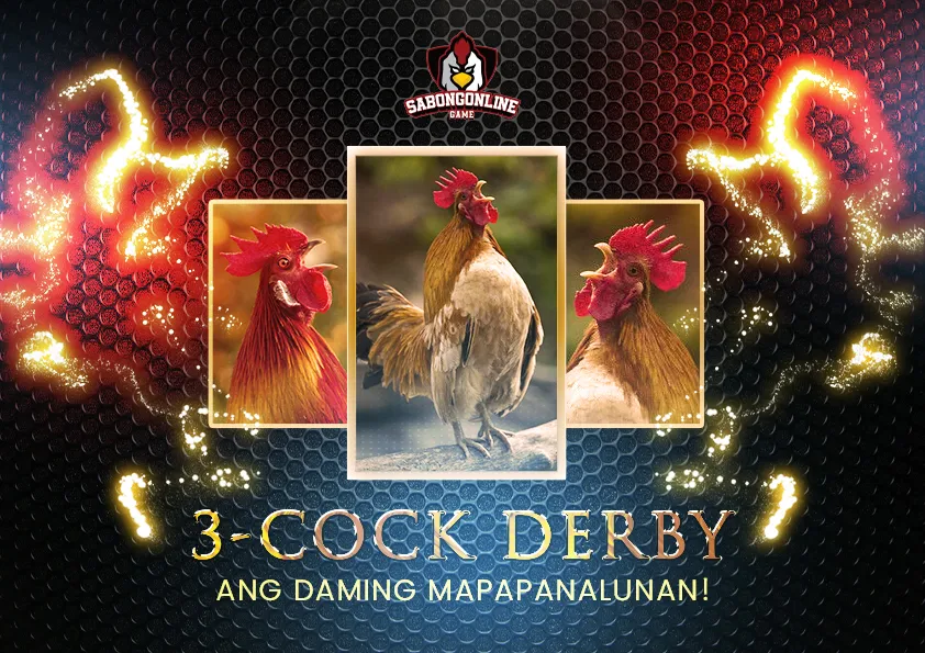 Manok Sabong 