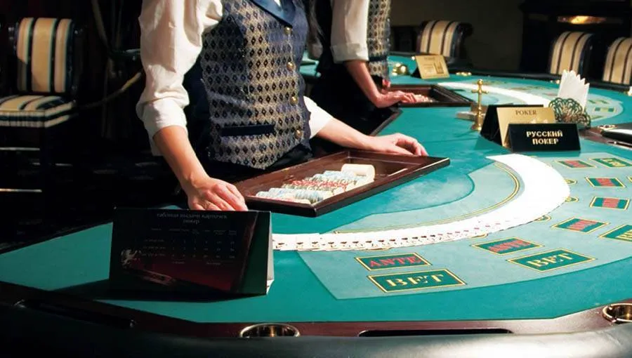 247 Live Casino