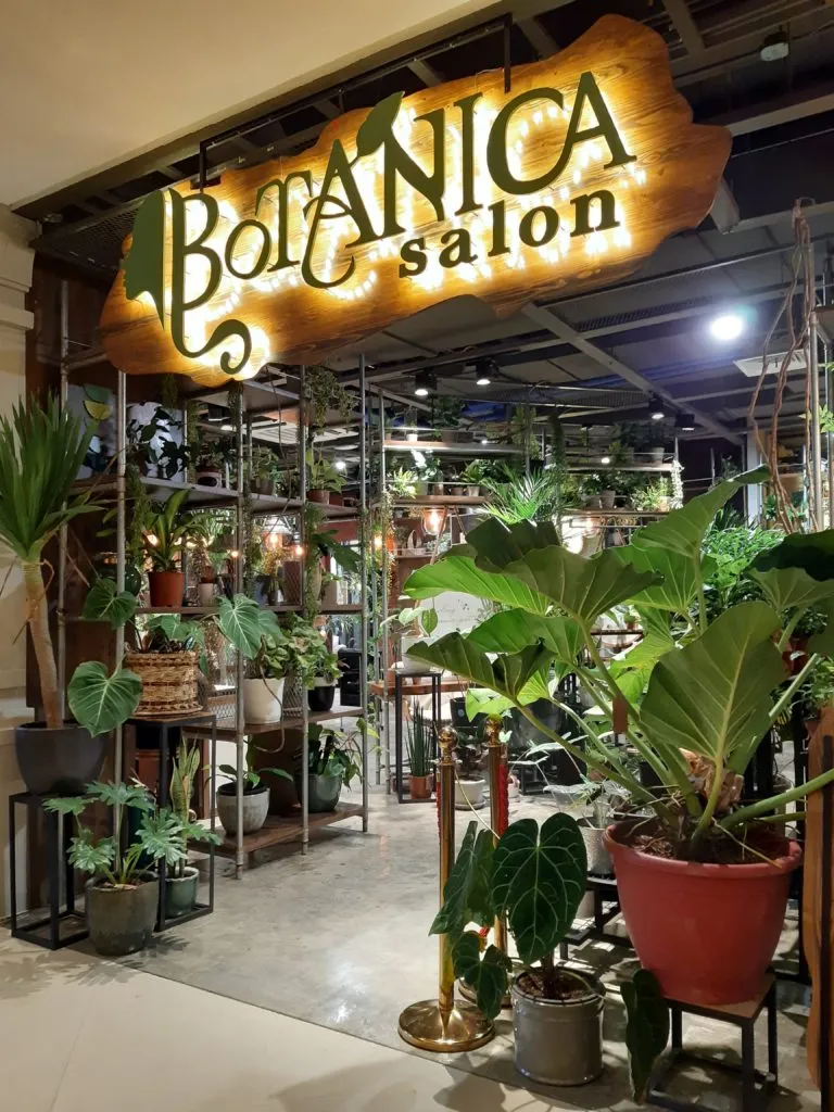 Botanica Salon offers an updated concept of beauty services