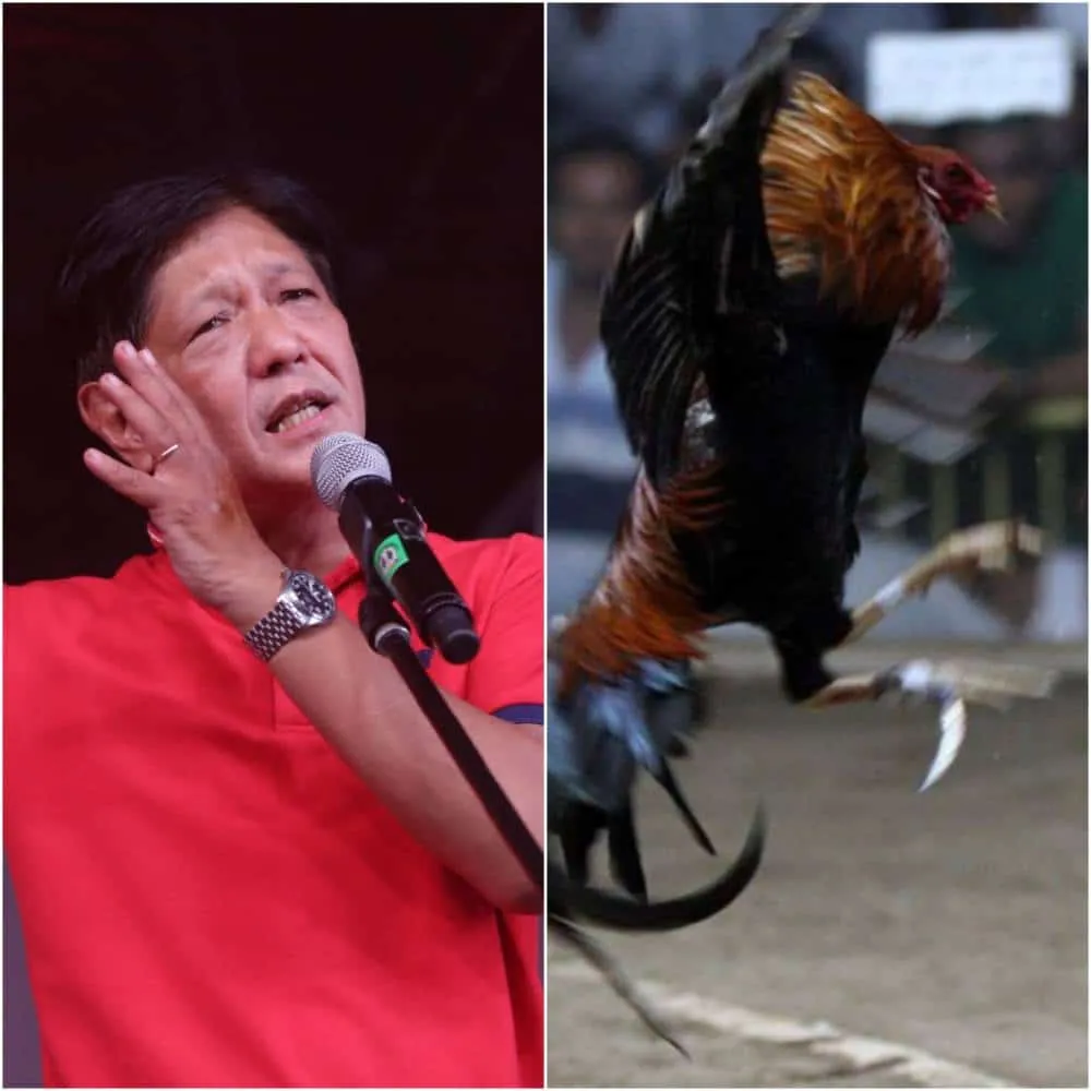 Here's Bongbong's opinion on 'e-sabong'