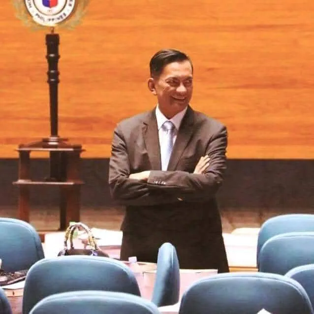 FDI boom coming 'if next prez gets it right'–Salceda