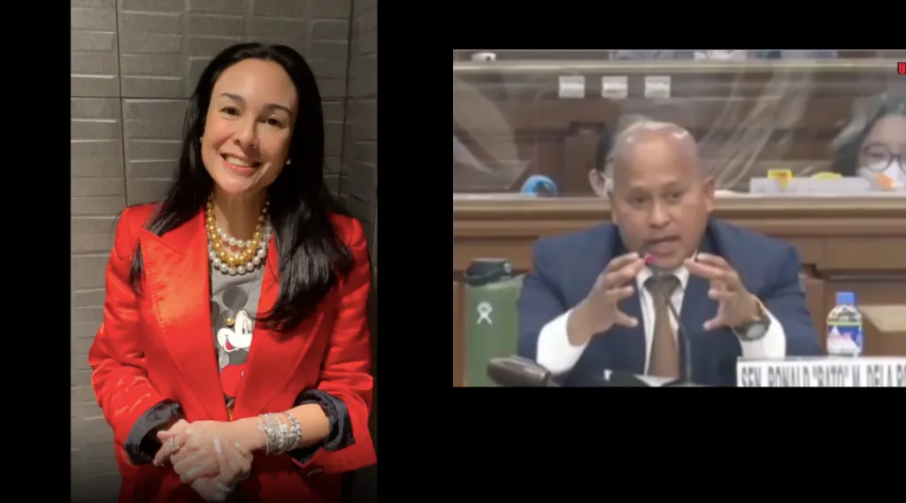 Gretchen Barretto makes rare comments about Senator Bato