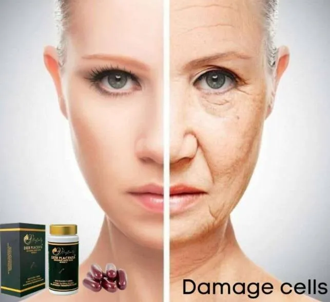 Pinay entrepreneur introduces the most talked-about breakthrough innovations in stem-cell therapy technology advancement
