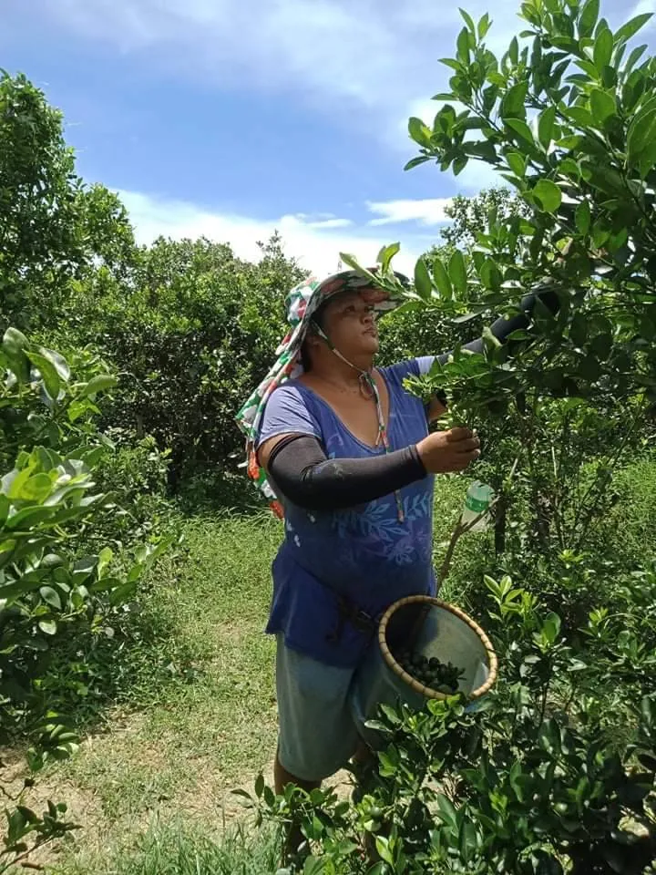 JGF celebrates women farmers in agriculture