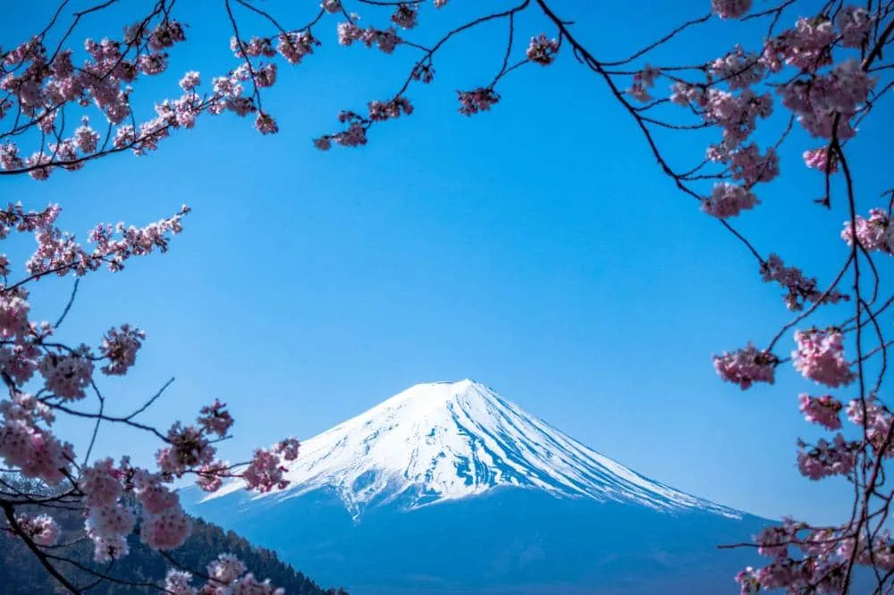 Japan PM says country will reopen as early as June