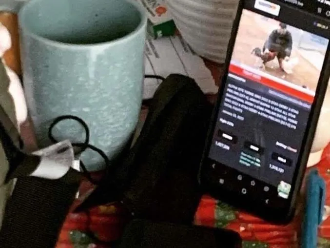 Cop probed for abusing wife over online sabong